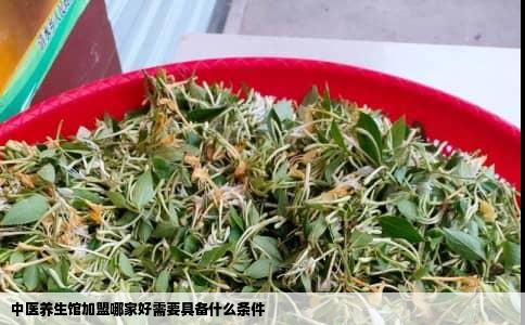 中医养生馆加盟哪家好需要具备什么条件