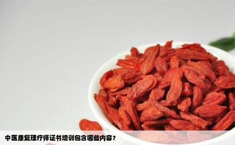 中医康复理疗师证书培训包含哪些内容？