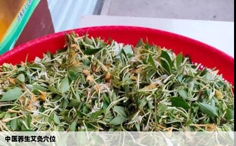 中医养生艾灸穴位