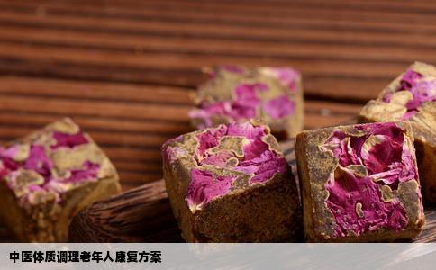中医体质调理老年人康复方案