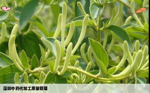 深圳中药代加工质量管理