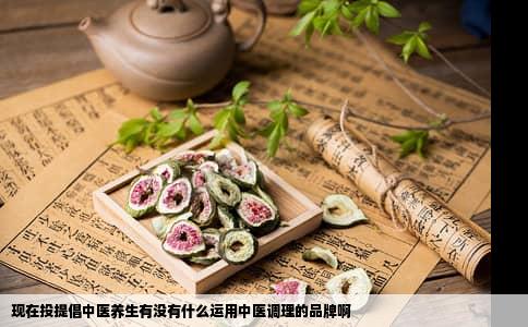 现在投提倡中医养生有没有什么运用中医调理的品牌啊