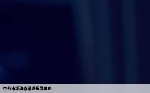 中药市场动态渠道拓展攻略