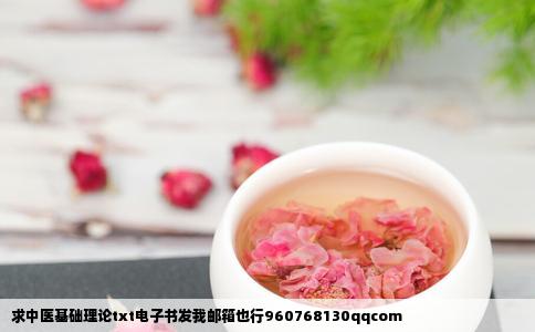 求中医基础理论txt电子书发我邮箱也行960768130qqcom