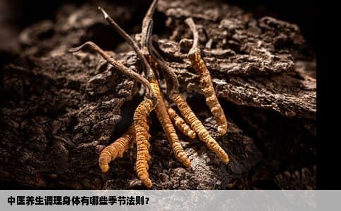 中医养生调理身体有哪些季节法则？