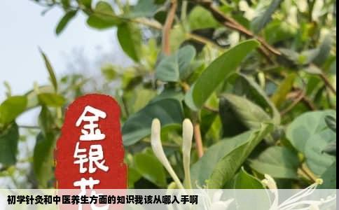 初学针灸和中医养生方面的知识我该从哪入手啊