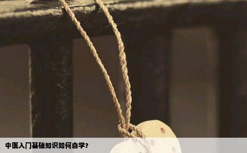 中医入门基础知识如何自学？