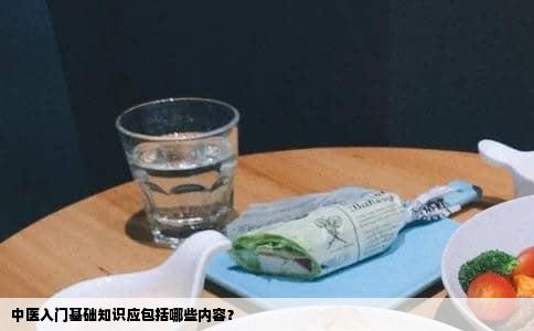 中医入门基础知识应包括哪些内容？