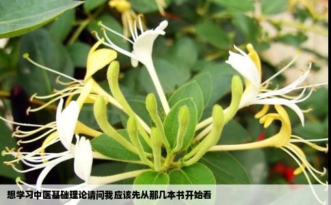 想学习中医基础理论请问我应该先从那几本书开始看