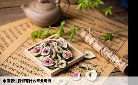 中医养生保健有什么专业可选