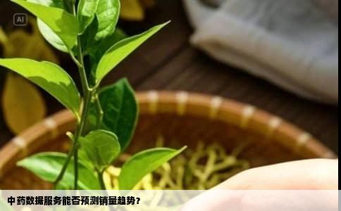 中药数据服务能否预测销量趋势？