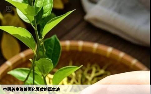 中医养生改善面色萎黄的草本法