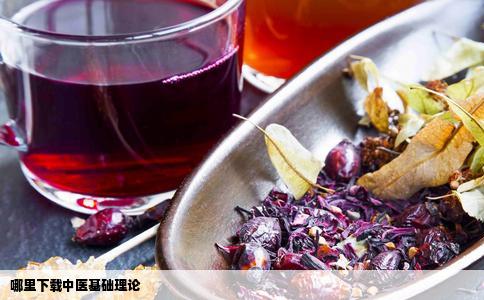 哪里下载中医基础理论