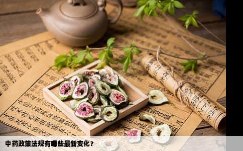 中药政策法规有哪些最新变化？