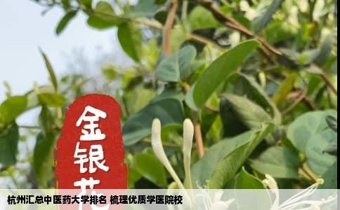 杭州汇总中医药大学排名 梳理优质学医院校
