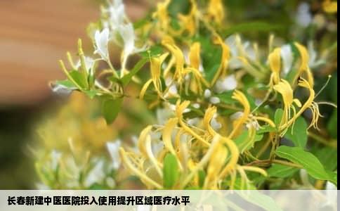 长春新建中医医院投入使用提升区域医疗水平