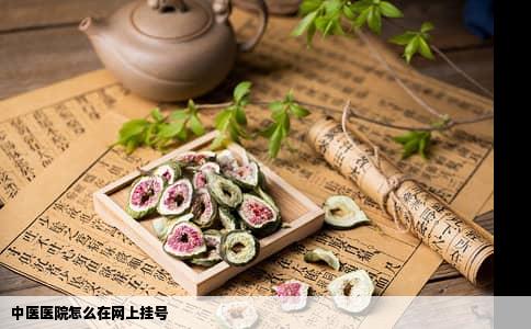中医医院怎么在网上挂号
