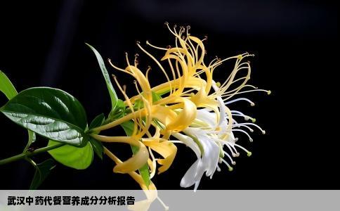 武汉中药代餐营养成分分析报告