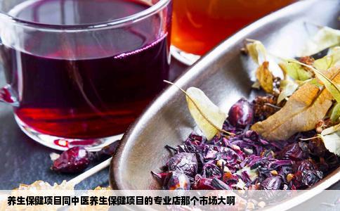 养生保健项目同中医养生保健项目的专业店那个市场大啊