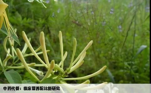 中药代餐：临床营养配比新研究