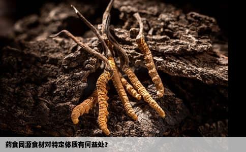 药食同源食材对特定体质有何益处？