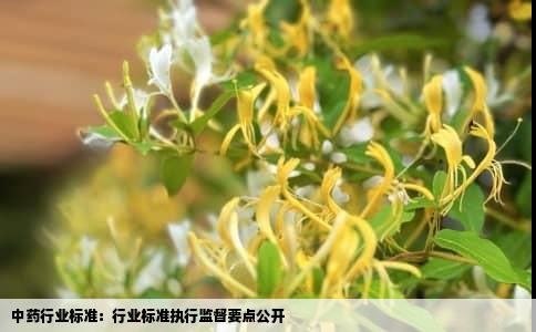 中药行业标准：行业标准执行监督要点公开