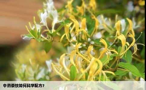 中药茶饮如何科学配方？