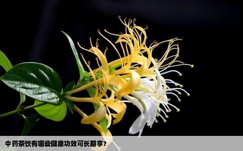 中药茶饮有哪些健康功效可长期享？