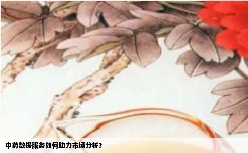 中药数据服务如何助力市场分析？