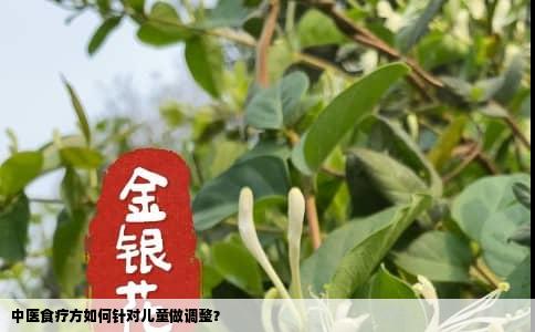 中医食疗方如何针对儿童做调整？