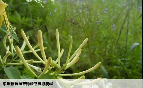 中医康复理疗师证书获取流程