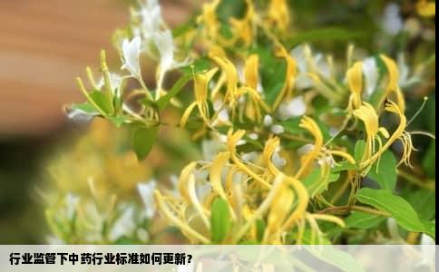 行业监管下中药行业标准如何更新？