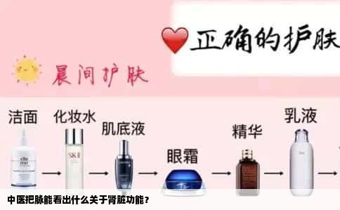 中医把脉能看出什么关于肾脏功能？