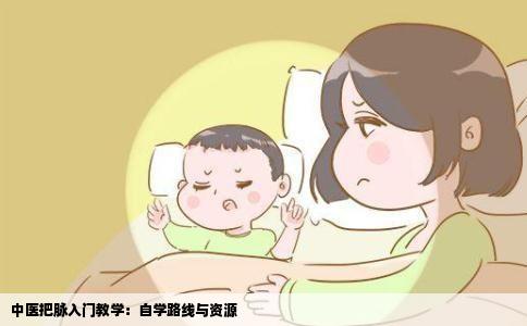 中医把脉入门教学：自学路线与资源