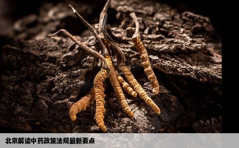 北京解读中药政策法规最新要点