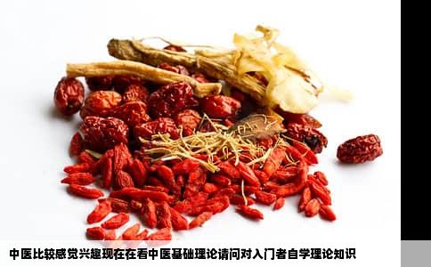 中医比较感觉兴趣现在在看中医基础理论请问对入门者自学理论知识