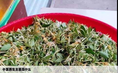 中医养生主要是什么