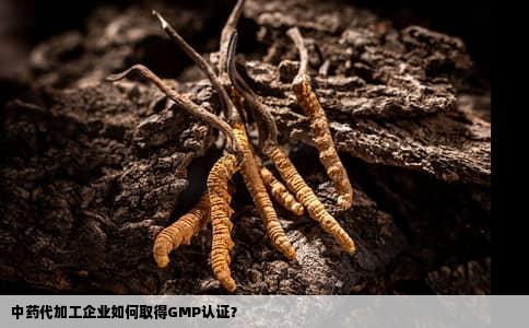 中药代加工企业如何取得GMP认证？