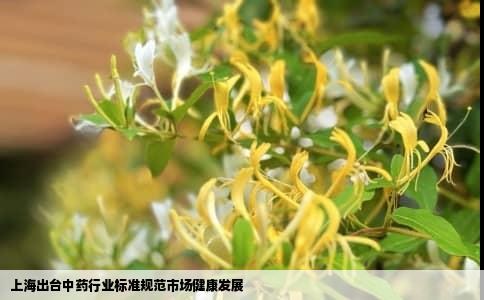 上海出台中药行业标准规范市场健康发展