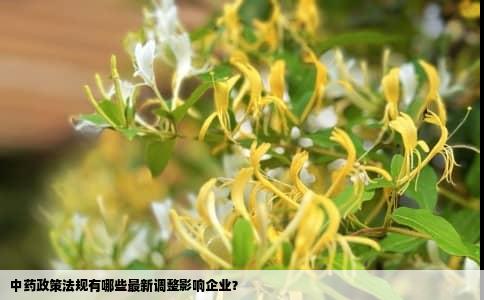 中药政策法规有哪些最新调整影响企业？