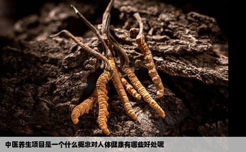 中医养生项目是一个什么概念对人体健康有哪些好处呢