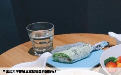 中医药大学排名应重视哪些科研指标？