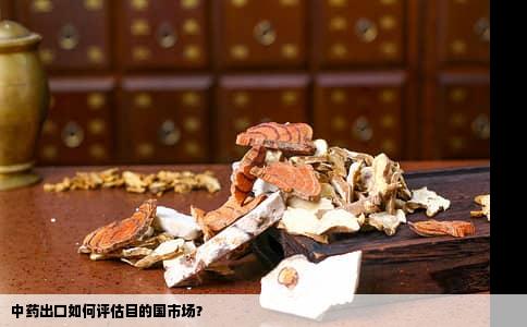 中药出口如何评估目的国市场？