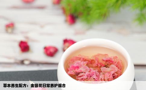 草本养生配方：金银花日常养护组合