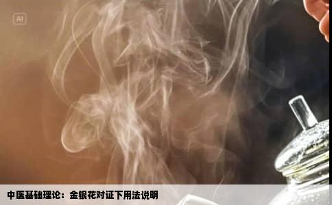 中医基础理论：金银花对证下用法说明