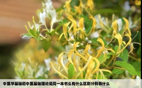 中医学基础和中医基础理论是同一本书么有什么区别分别看什么