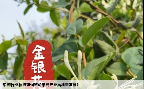 中药行业标准如何推动中药产业高质量发展？