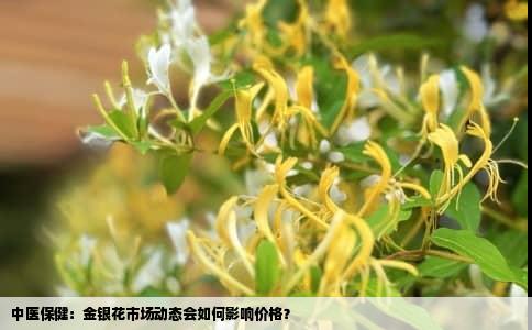 中医保健：金银花市场动态会如何影响价格？