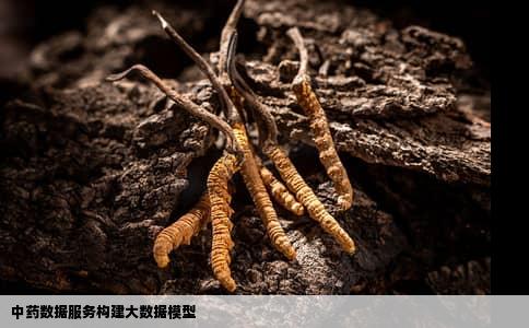 中药数据服务构建大数据模型