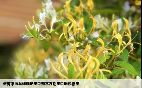谁有中医基础理论学中药学方剂学中医诊断学
